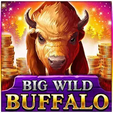 Play Big Wild Buffalo Spinsup casino